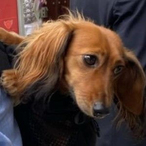 Meet your Posher, Joanna